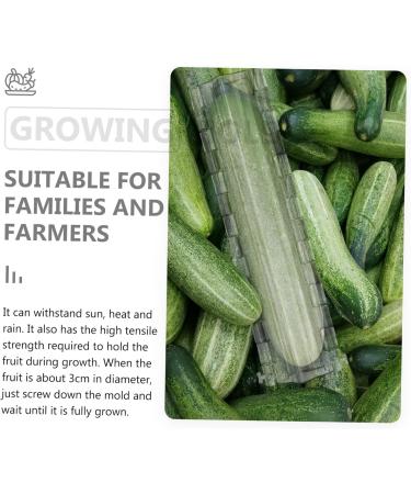 VANZACK Garden Key Hider 1pc Pentagram Mold Plastic Fruit Transparent Cucumber Tools Planting Supplies Watermelon Stereotypes - Buy Online on GoSupps.com