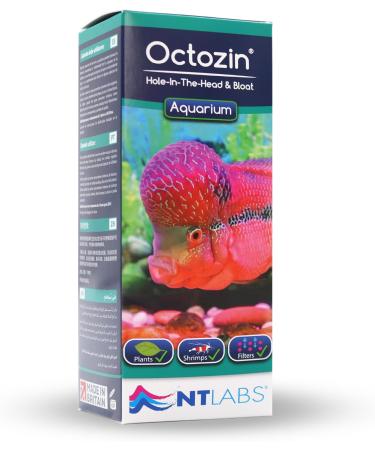 NT Labs Octozin Hole in the Head & Bloat Treatment - Treats Aquarium Fish with Bloat - 250ml - treats 3 day course of 375L