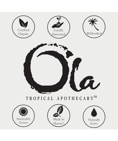 Ola Coconut Body Wash - Nourishing Tropical Oils & Plant Extracts - 8 fl oz | International Shipping - Buy Online on GoSupps.com