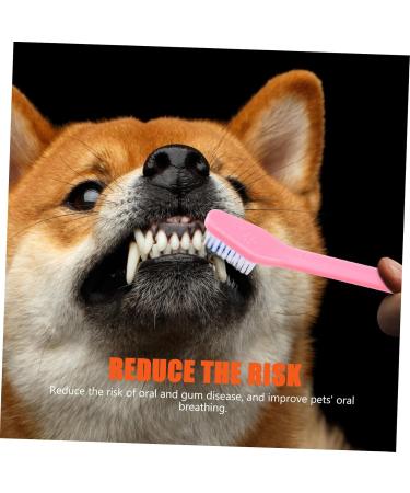 BESPORTBLE 2sets Pet Toothbrush Cat Toothpaste Dog Oral Cleaning Toothbrush Toothpaste for Dogs Puppy 10pcs*2 - Buy Online on GoSupps.com