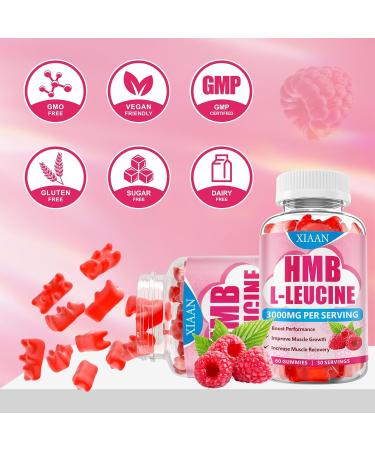 HMB and Leucine Gummies for Men & Women 3000mg Leucine HMB Amino Acids Supplement for Muscle Growth Muscle Relief and Workout Recovery Sugar-Free Raspberry Flavor 60 Count Raspberry 60 Count (Pack of 1) - Buy Online on GoSupps.com
