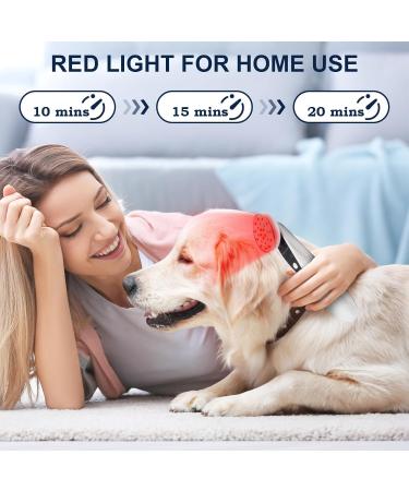 Sthmolepy Handheld Red Light Lamp Near Infrared Light for Body Portable LED Red Light Wand with 660nm & 850nm at Home Use - Buy Online on GoSupps.com