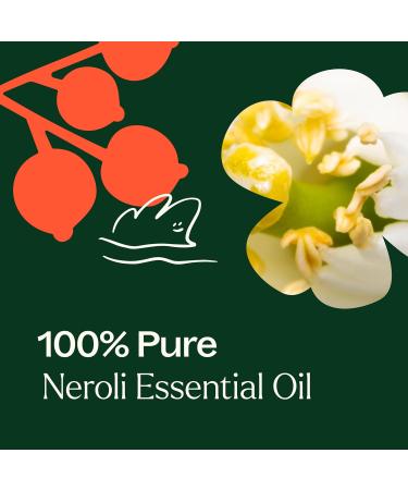 Plant Therapy Neroli Pre-Diluted Essential Oil Perfume Roll-On 10 mL (1/3 oz) 100% Pure Natural Aromatherapy Perfume Roll-On Natural Skin Care - Buy Online on GoSupps.com