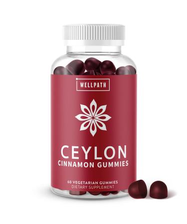 WellPath Ceylon Cinnamon Gummies - Healthy Blood Sugar Support Supplement | Sugar Free | Antioxidants | Joint Support | Non-GMO Vegan Gluten Free | 60 Ct 60 Count (Pack of 1)