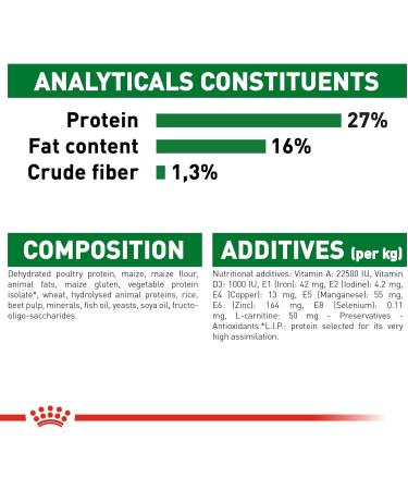 ROYAL CANIN 8kg Mini Adult Dry Dog Food - Buy Online on GoSupps.com