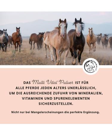 Annimally Multi Vital Powder for Horses - 550g Multivitamin with Vitamin B Complex Immune Support Vitamins A D3 E & Essential Nutrients - Buy Online on GoSupps.com