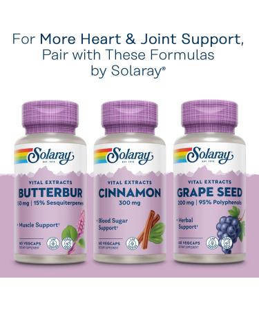 Solaray Turmeric Root Extract 300mg VCapsules - 120 Count | Guaranteed Potency - Buy Online on GoSupps.com