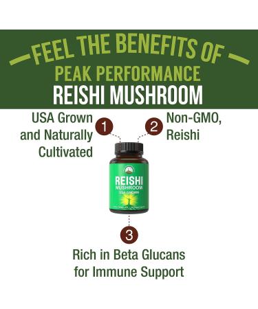 Premium USA Grown Reishi Mushroom Capsules | Vegan Supplement for Brain Energy & Immune Support | 90 Pills, Red Reishi Extract Powder | Shop Now - Buy Online on GoSupps.com