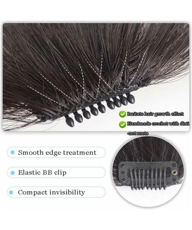 Bangs Hair Clip Oblique Bangs Wig Natural Forehead Partial Air Bangs Wig Female Invisible Seamless Fake Bangs Bangs Clip in Hair(Color:T1B/613) - Buy Online on GoSupps.com