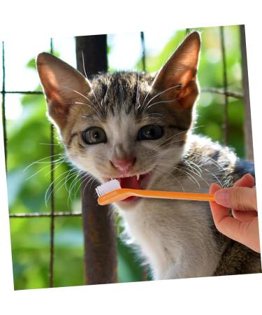 BESPORTBLE 20 Pcs Pet Toothbrush Pet Toothpaste Pet Teeth Cleaning Dog Oral Cleaning Toothbrush Dog Tooth Nylon 1 count (Pack of 1) Assorted Colorx2pcs - Buy Online on GoSupps.com