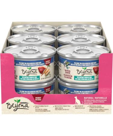 Beyond Grain Free Wet Cat Food Tuna Mackerel & Carrot Recipe (12 Pack) + Beyond Grain Free Natural Dry Cat Food Ocean Whitefish & Egg (1.36 kg) - Buy Online on GoSupps.com