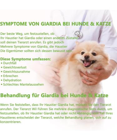 Isenvo 5x Giardia Quick Test Kit for Dogs & Cats | Reliable Intestinal Parasite & Diarrhea Testing - Buy Online on GoSupps.com