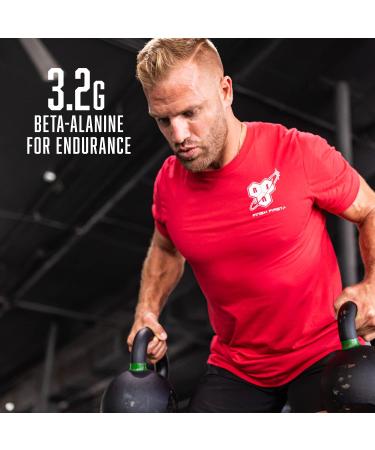 BSN N.O.-XPLODE Vaso Pre Workout Powder - Razzle Dazzle Flavor, 48 Servings | 8g L-Citrulline, 3.2g Beta-Alanine, Energy Booster - Buy Online on GoSupps.com