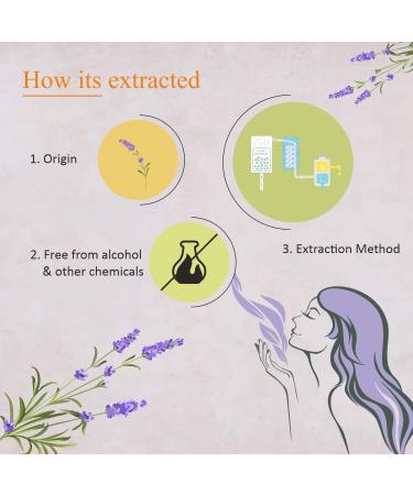Florona French Lavender Essential Oil - 4 fl oz | Therapeutic Grade for Hair, Skin, Diffuser & DIY Crafts - Buy Online on GoSupps.com