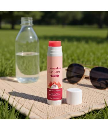 Tinted Lip Balm | Non-Greasy Moisturizing Beauty Care | Glossy Moisturizing Care for Women - For Travel Parties Birthdays Valentine's Day Christmas - Buy Online on GoSupps.com