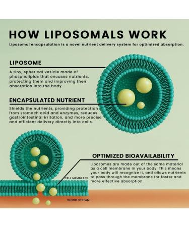 Manna Vitamins Evolved Liposomal Curcumin+ Softgels for Advanced Absorption Best Turmeric Supplement for Daily Joint & Immune Health Support - Non-GMO 500mg Curcuminoids (60ct) - Buy Online on GoSupps.com