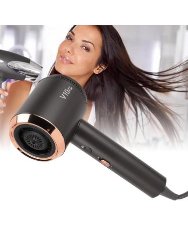 Professional Ionic Hair Dryer Quiet Constant Temperature Heating Side Air Inlet Negative Ion Blow Dryer Non Slip Gentle for Travel (US Plug 110V) - Buy Online on GoSupps.com