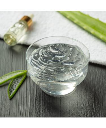 Aloe ARBORESCENS Miller with Agave 100% Vegan 100% Fresh 100% BIO Recipe bio by Father Romano Zago - Buy Online on GoSupps.com