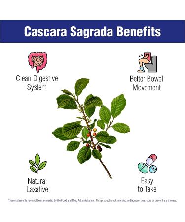 60 Cascara Sagrada Capsules 450mg by Natural Systems - Vegan, Non-GMO, Non-Gluten - Herbal Constipation Relief and Laxative Support - Buy Online on GoSupps.com