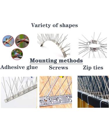 Metal Bird Spikes for Small Birds & Pigeons - Stainless Steel Anti-Nesting Deterrent 11ft (10 Pack) - Buy Online on GoSupps.com