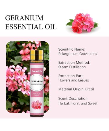 Aoruilia 10ml Geranium Essential Oil 100% Pure Natural Geranium Oils for Diffusers for Home Aromatherapy Skin Care Hair Care Sleep DIY Soap Candle Making Geranium 10 ml (Pack of 1) - Buy Online on GoSupps.com