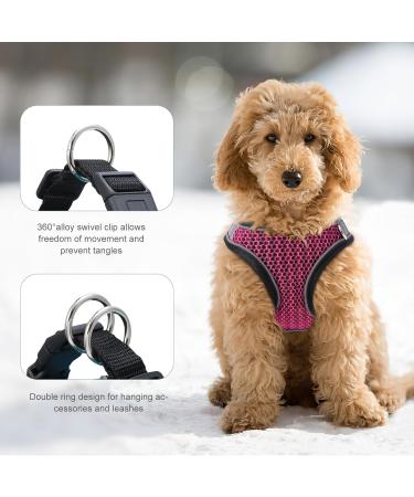 Ankilo Upgraded Harness with Leash Set Escape Proof Dog Vest Harnesses Vest Harnesses with Soft Mesh and Reflective Bands No Pull Small Dog Harness for Cats and Small Dogs (Rose-red S) - Buy Online on GoSupps.com