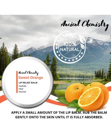 AC LABORATORIES LIMITED 100 natural lip balm natural treatment to prevent cold sores moisturizing lip balm only natural ingredients lip balm lip repair - Buy Online on GoSupps.com