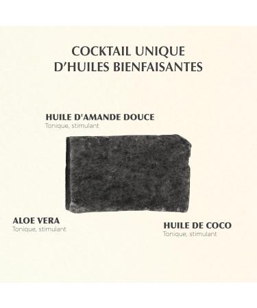 TAAJ | Ayurvedic Charcoal Soap | Cleanses the Skin of Toxins and Impurities | Maintains the Natural Balance of the Skin | Made in France | Vegan | Lot of 3x100GR - Buy Online on GoSupps.com