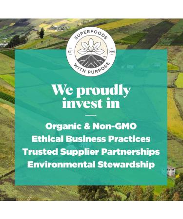 Navitas Organics Maca Powder 100% Gelatinized Peruvian Maca for Smoothies Lattes Baking & More Energize & Balance - USDA Organic Non GMO Vegan Gluten Free (16oz. Bag 180 Servings 2-Pack) Powder 32 Ounce (Pack of 1) - Buy Online on GoSupps.com