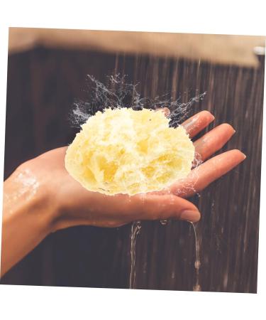 Mikinona Moisturizer Bathing Sponge Body Sponge Bath Sponges for Bathing Sponge for Body Natural Sponges for Body Sea Sponges for Shower Natural Sponges for Bathing Sponge Bath - Buy Online on GoSupps.com