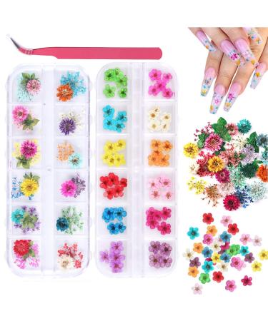 2 Boxes Dried Flowers for Nail Art  KISSBUTY 24 Colors Dry Flowers Mini Real Natural Flowers Nail Art Supplies 3D Applique Nail Decoration Sticker for Tips Manicure Decor (Gypsophila Flowers Daffodil)