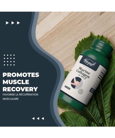 VORST Marine Collagen for Men 3 x 120 Capsules | 3 Bottles 360 count (Pack of 1) - Buy Online on GoSupps.com