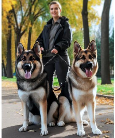 Onisall Dog Leash for Large & Medium Dogs - 3M Adjustable Nylon Reflective 200kg Strength - Ideal for Safe Walks - Buy Online on GoSupps.com