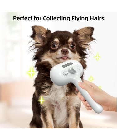 Sichy Self-Cleaning Spray Cat Brush for Long and Short-Haired Cats | Grooming, Hair Removal, and Static Control | White - Buy Online on GoSupps.com