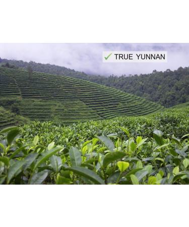 Jinglong Tea Factory Bamboo Leaf Tube Ripe Pu-erh Tea (80 Cups) 7.1oz - Premium Quality - Buy Online on GoSupps.com