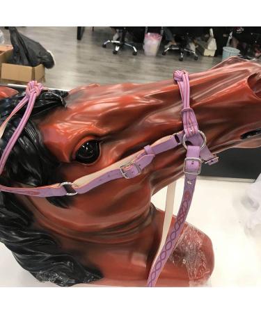 Small Horse Halter | Tied Halter Adjustable Chin & Throat Snap Horse Safety Halter Colorful Padded Nylon Size Horse Care for Horse Grooming Training Pochy Purple - Buy Online on GoSupps.com