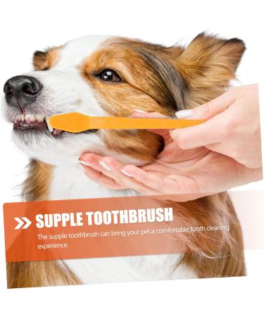 NOLITOY 20 pcs Oral Supplies for Dual-head Teeth Cleaning Pets Small Handheld Puppy Brush Pet Dog - Buy Online on GoSupps.com