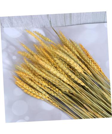 Zerodeko Natural Wheat 1 Decor Simulation Wheat Dried Wheat Rural Wheat Dried Flowers Natural Decorative Wheat - Buy Online on GoSupps.com