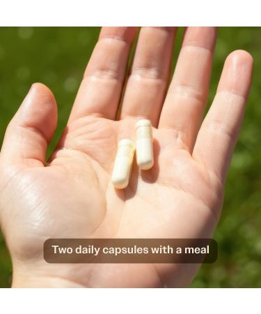 TruHeight Capsules - Natural Height Growth Maximizer for Kids, Teens & Young Adults - With Ashwagandha & Nanometer Calcium - Peak Height Booster - 60 Count - Buy Online on GoSupps.com