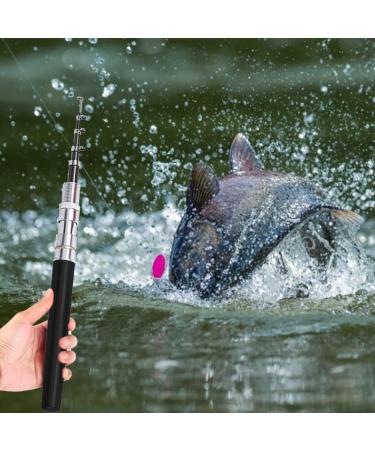 Portable Mini Fishing Rod - Compact Pen Style with Rotating Wheel & Bag for Winter Outdoor Fishing | Fishing Accessories in Black - Buy Online on GoSupps.com