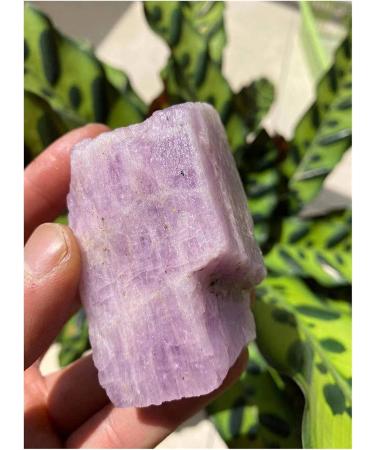 Natural raw kuzite Stone Natural Crystal 1030g Raw Stones and Minerals - Buy Online on GoSupps.com