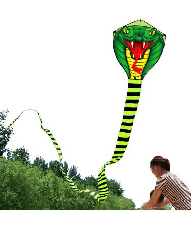 HENGDA KITE Large Power Snake Kites with Flying Line Outdoor Fun Sports Kite B 26 Ft