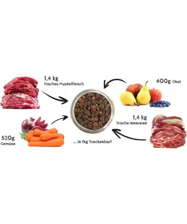 FRESCO Barf dry Complete Plus I Salmon with beef I 1 kg - Buy Online on GoSupps.com