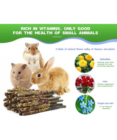 ABIZOO 18-Piece Rabbit Chew Toy Set | Natural Apple Sticks & Dental Care for Rabbits Hamsters & Guinea Pigs - Buy Online on GoSupps.com
