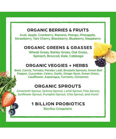 Orgain Organic Vegan Protein Powder + Orgain Organic Greens Powder Superfood Blend - Buy Online on GoSupps.com