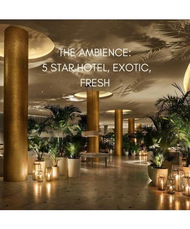 Buy No. 11 Hotel Scented Aroma Oil - Ultra-Luxe Home Fragrance for Waterless & Essential Oil Diffusers | Bergamot Black Tea Amber Freesia - Buy Online on GoSupps.com