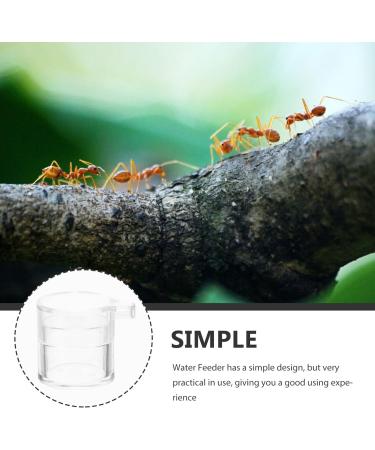 PATKAW Pet Water Feeder Ants Waterer for Garden Ants Feed Bowl Ants Drinking Container Ants Water Feeder Ants Waterer Cup Insect Water Bowl Clear Ants Feeder Mini Drinking Cup Acrylic - Buy Online on GoSupps.com