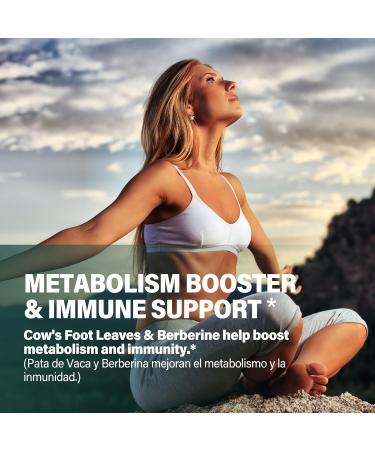 Pata de Vaca - Natural Blood Health & Metabolism Support Capsules.90Capsules Original 90 Count (Pack of 1) - Buy Online on GoSupps.com