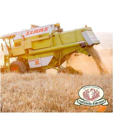  Rustichella d'Abruzzo Rustichella d'Abruzzo | Rigatoni Durum wheat semolina classic size | Craft pasta - 1 x 500 g | Slow dried dough low temperature - Buy Online on GoSupps.com