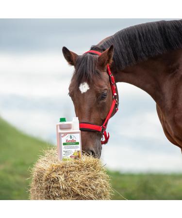 Ewalia Shaking Juice Soothing Food Supplement for Horses Supports Stress Resistance Promotes Well-being 100% Natural Herbal Formula 2 x 1 Liter - Buy Online on GoSupps.com